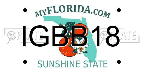 IGBB18 Florida License Plate