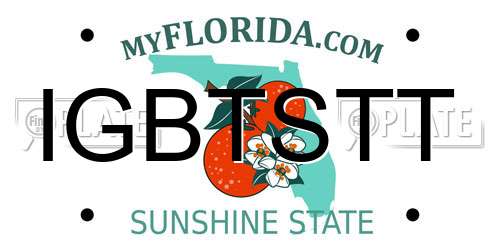 IGBTSTT Florida License Plate