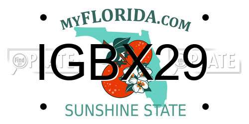 IGBX29 Florida License Plate