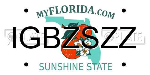 IGBZSZZ Florida License Plate