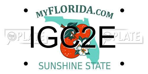 IGC2E Florida License Plate