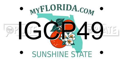 IGCP49 Florida License Plate
