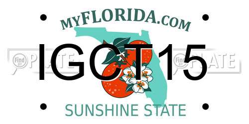 IGCT15 Florida License Plate
