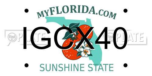 IGCX40 Florida License Plate