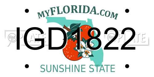 IGD1822 Florida License Plate