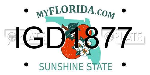 IGD1877 Florida License Plate