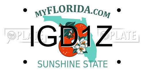 IGD1Z Florida License Plate
