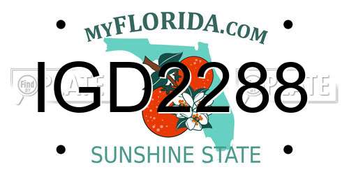 IGD2288 Florida License Plate