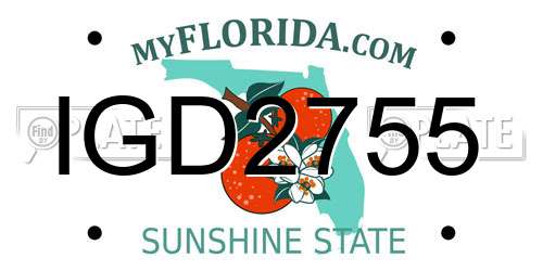 IGD2755 Florida License Plate