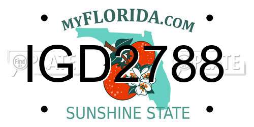 IGD2788 Florida License Plate