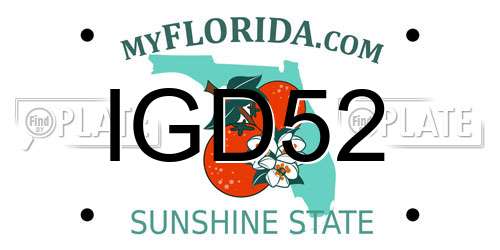 IGD52 Florida License Plate