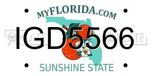 IGD5566 Florida License Plate