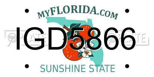 IGD5866 Florida License Plate