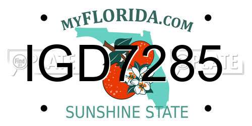 IGD7285 Florida License Plate