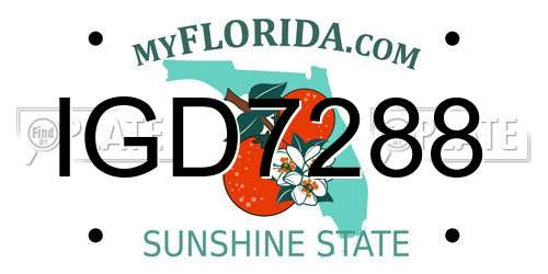 IGD7288 Florida License Plate