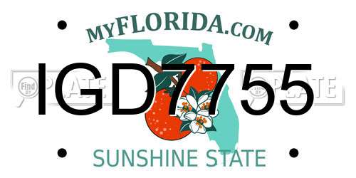 IGD7755 Florida License Plate