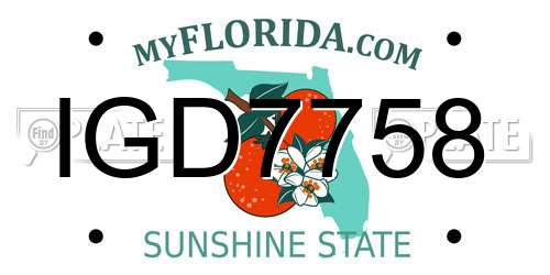 IGD7758 Florida License Plate
