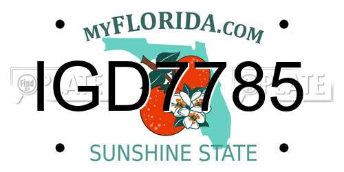 IGD7785 Florida License Plate