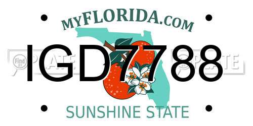 IGD7788 Florida License Plate