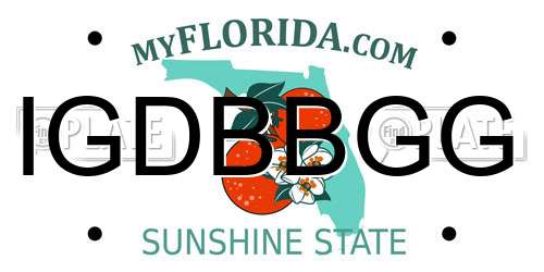 IGDBBGG Florida License Plate