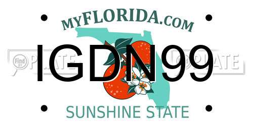 IGDN99 Florida License Plate