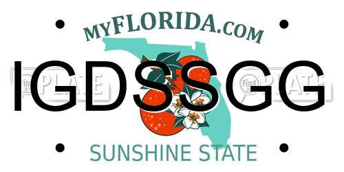 IGDSSGG Florida License Plate