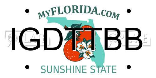 IGDTTBB Florida License Plate