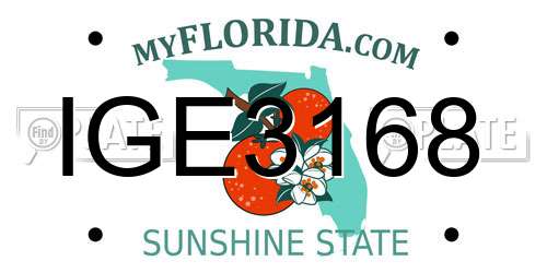IGE3168 Florida License Plate