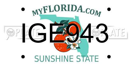 IGE943 Florida License Plate
