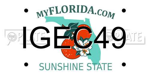 IGEC49 Florida License Plate