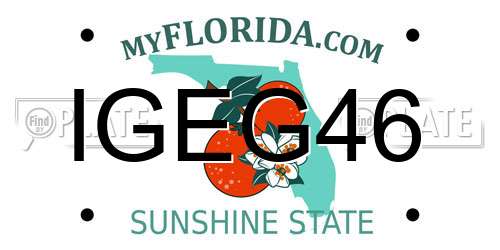 IGEG46 Florida License Plate