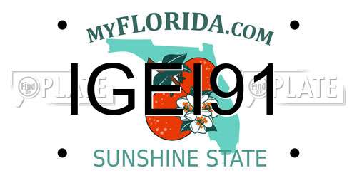IGEI91 Florida License Plate