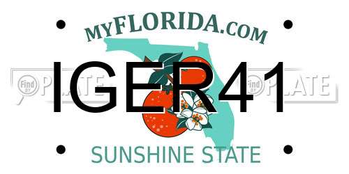 IGER41 Florida License Plate