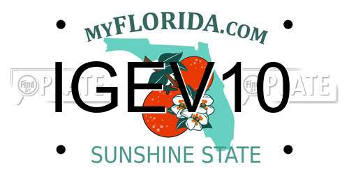 IGEV10 Florida License Plate