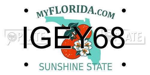 IGEY68 Florida License Plate