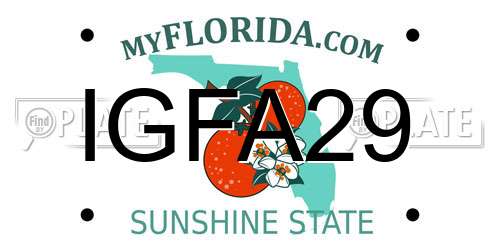 IGFA29 Florida License Plate