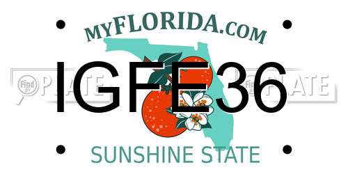 IGFE36 Florida License Plate