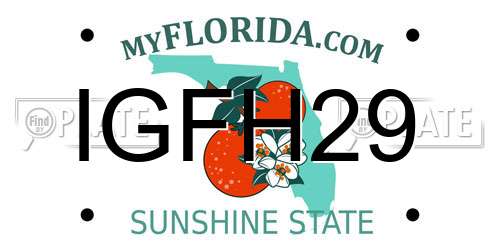 IGFH29 Florida License Plate