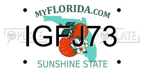 IGFJ73 Florida License Plate