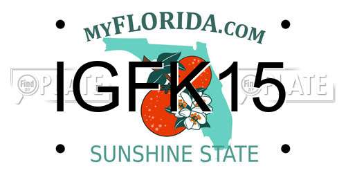 IGFK15 Florida License Plate