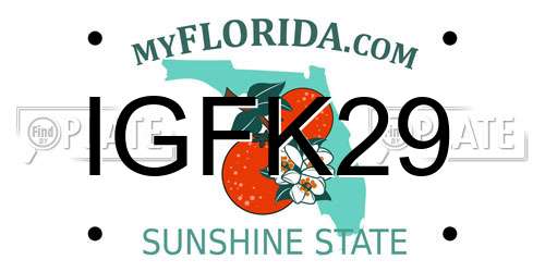 IGFK29 Florida License Plate