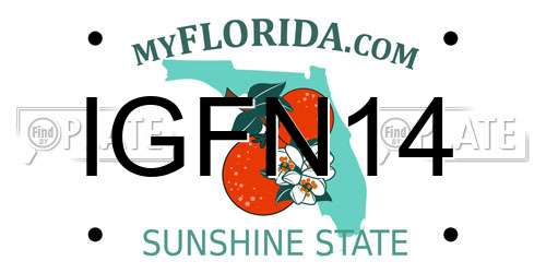 IGFN14 Florida License Plate