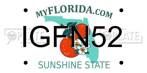 IGFN52 Florida License Plate