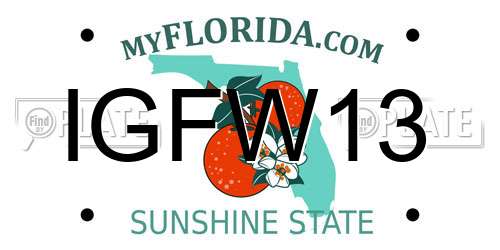 IGFW13 Florida License Plate