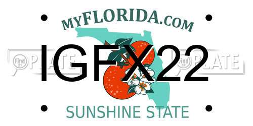 IGFX22 Florida License Plate