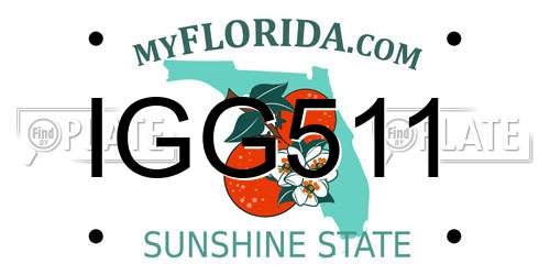 IGG511 Florida License Plate