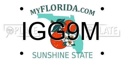 IGG9M Florida License Plate