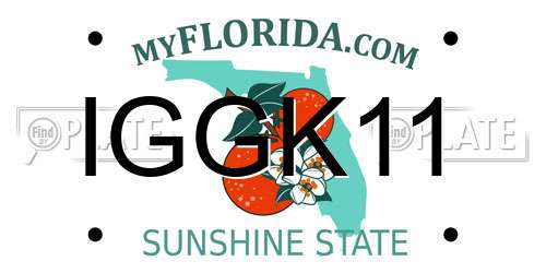 IGGK11 Florida License Plate