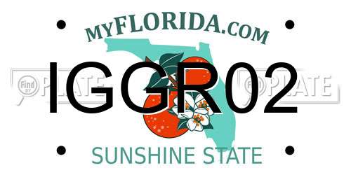 IGGR02 Florida License Plate