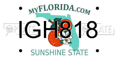 IGH818 Florida License Plate